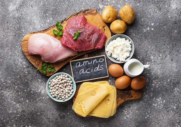 Le rôle crucial des acides aminés dans le corps humain